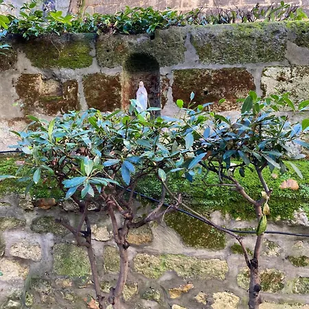 Dependance Calme Avec Jardin Au Coeur De